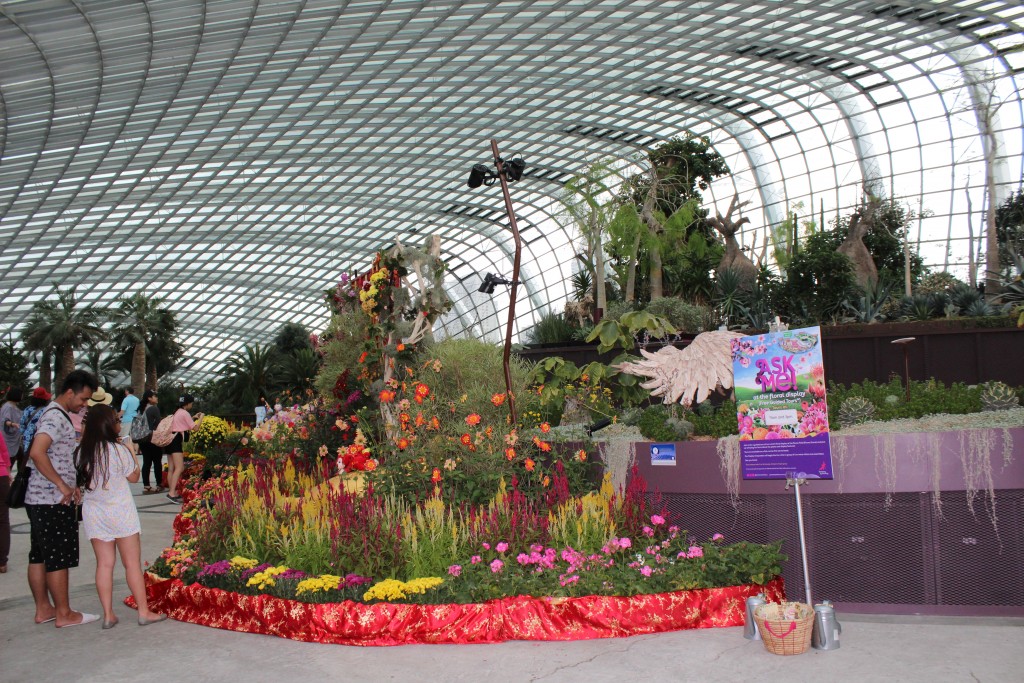 Pictures don't do it justice. You have to be inside the conservatory to fully appreciate its size and scope. 