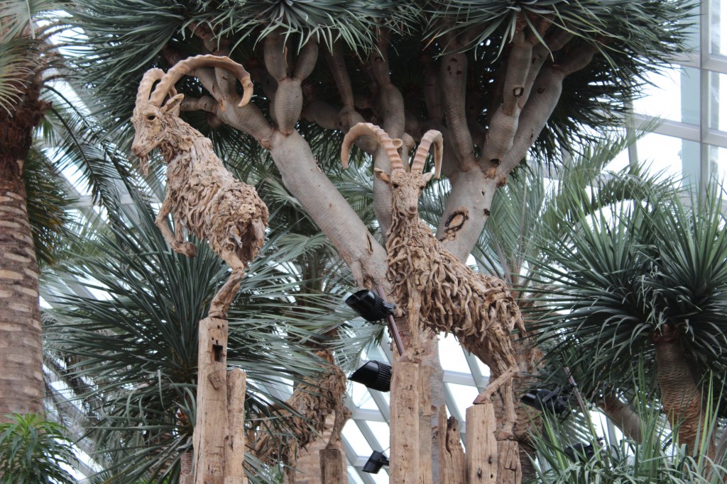 Two driftwood sculptures of mountain goats in the Flower Dome. 