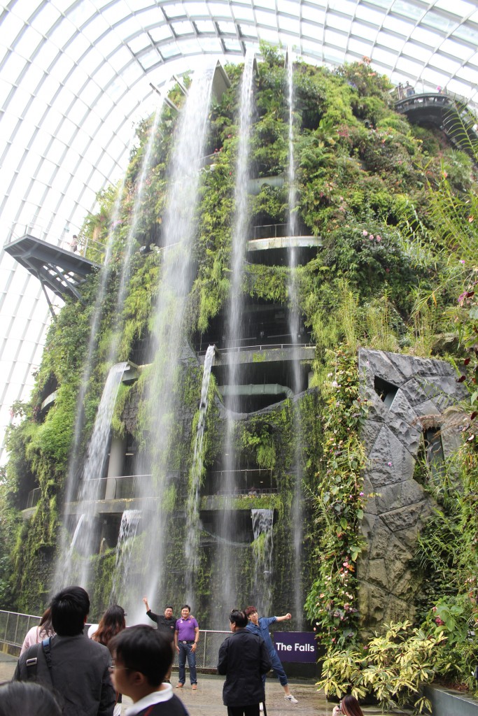 Waterfalls greet you as you enter the Cloud Forest.