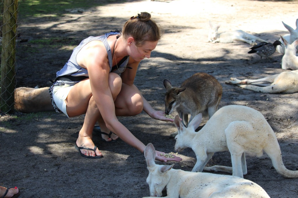 Sarah feeding a couple of roos. The park has both red and grey kangaroos.