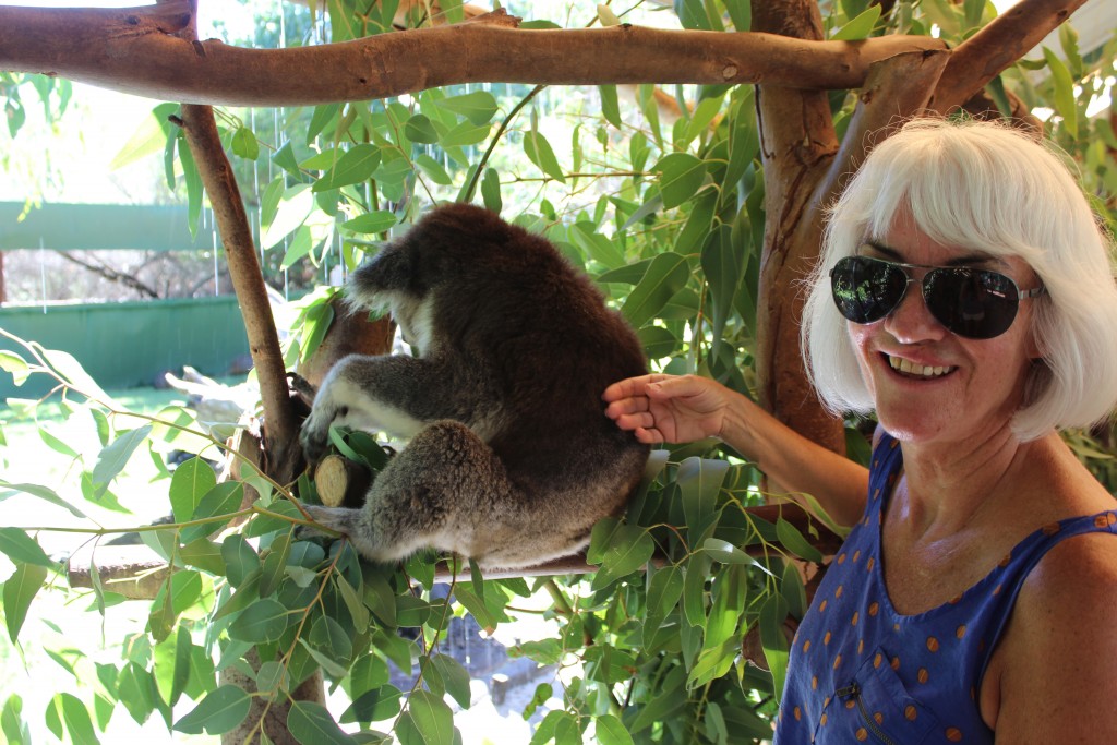 We'll close this gallery with a pic of Janis and a koala.