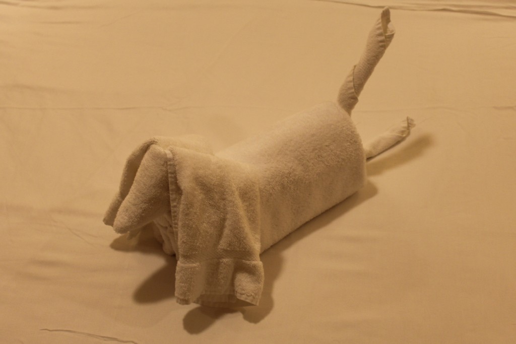 Every day we would find a new towel animal on the bed. 