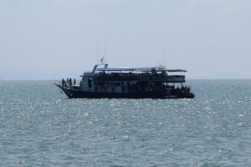 A tour boat similar to the one we were on. There were quite a few on the bay. Eco-tourism is a booming business here.