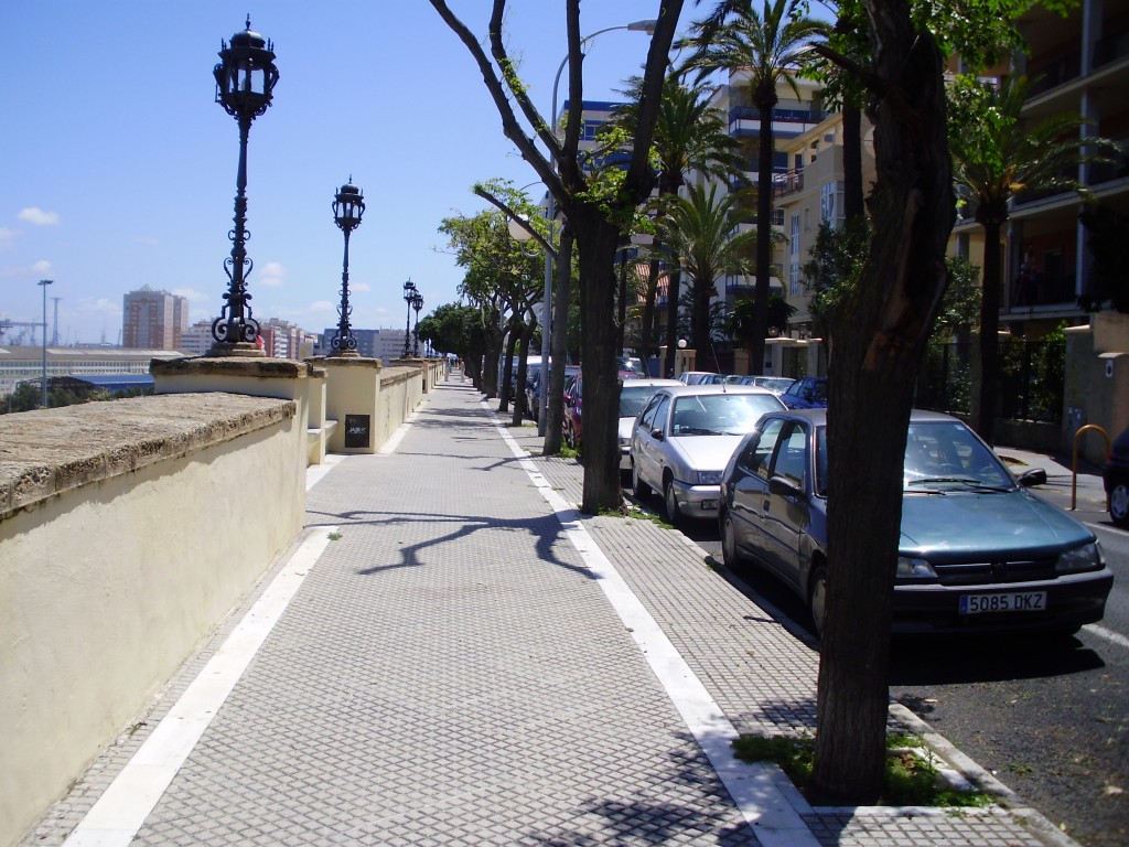 Tree lined street in the modern part of Cadiz.