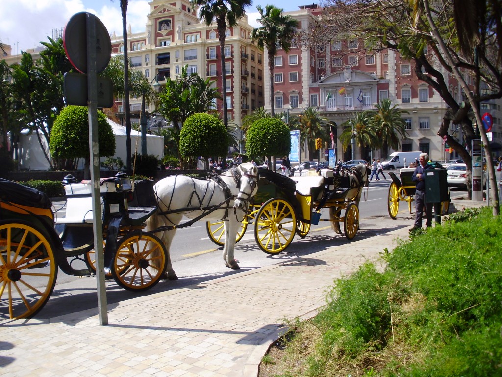As we headed back to the ship , we saw these horse-drawn carriages. A nice way to get around parts of Malaga. 