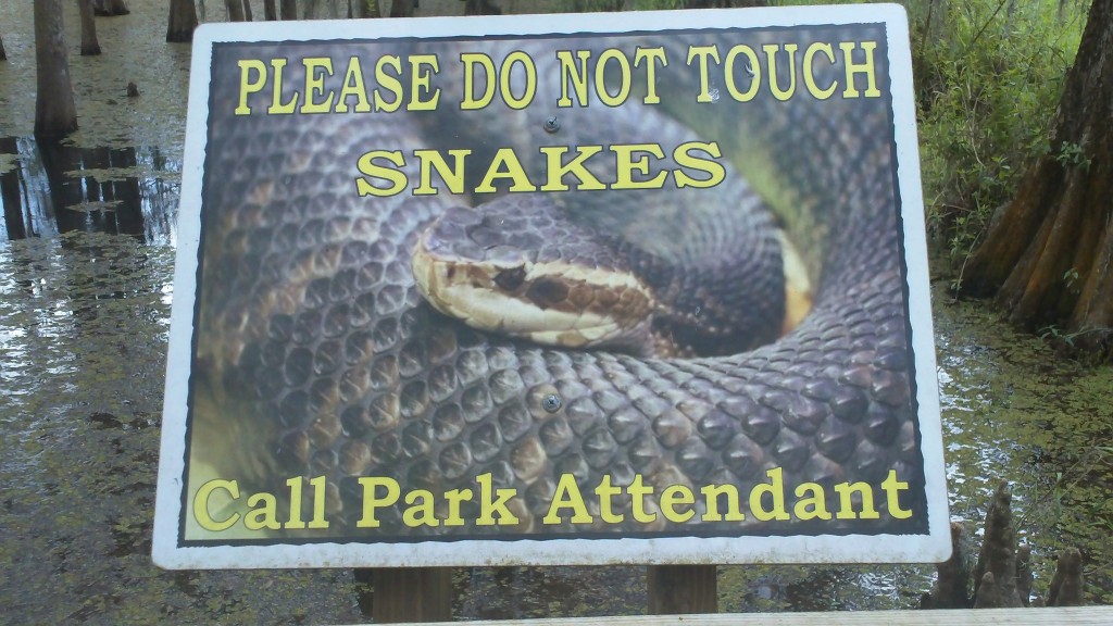 Beware of snakes!