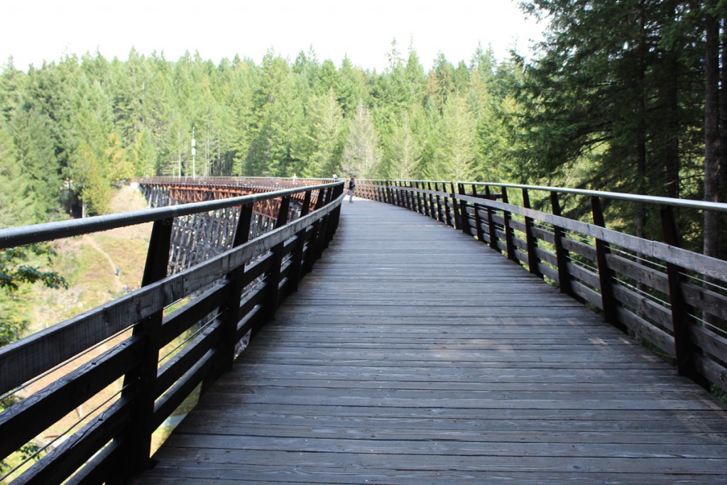 Now the trestle is part of the Trans canada Trail. Tracks have been replaced by a boardwalk.