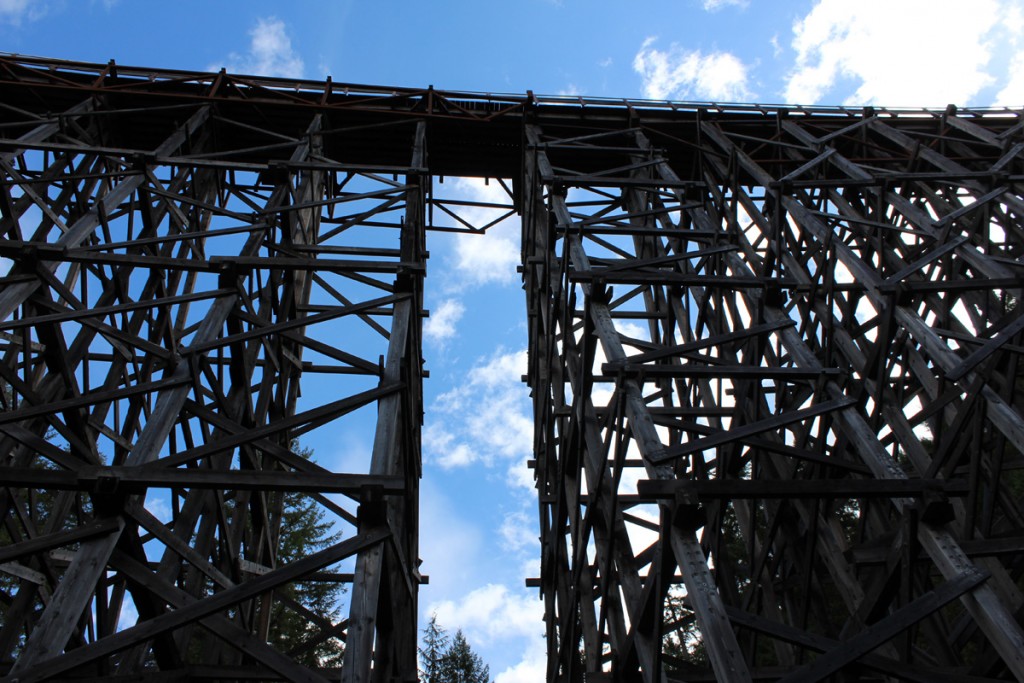 Looking up at the trestle from below