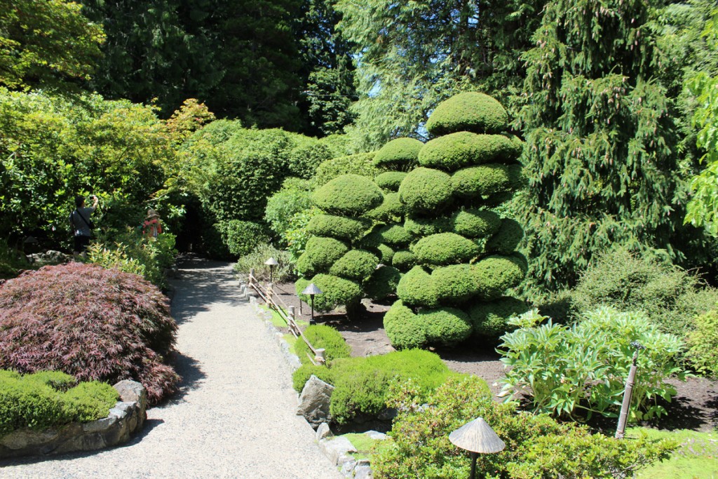 Sculpted trees in the Japanese Garden