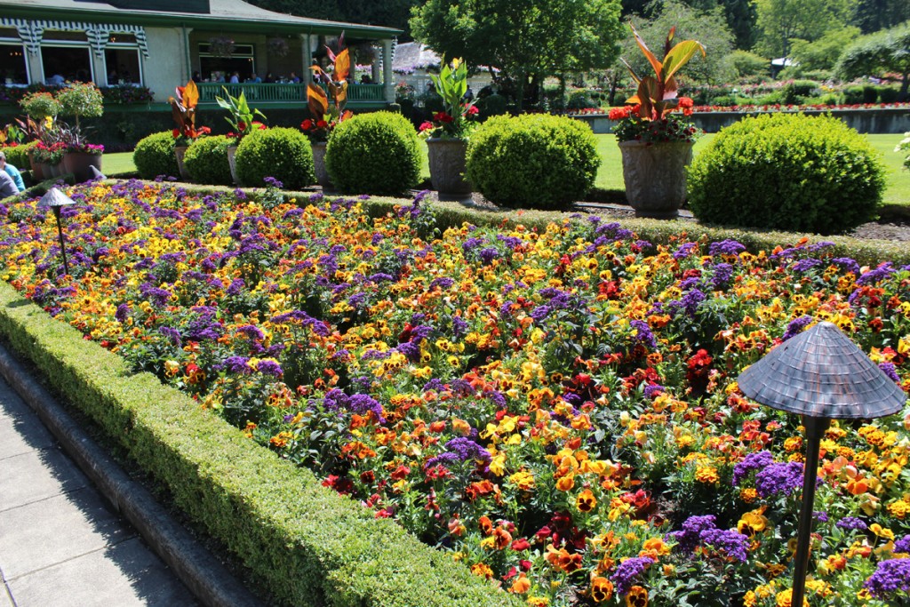 Colourful flower bed alongside the Italian Garden