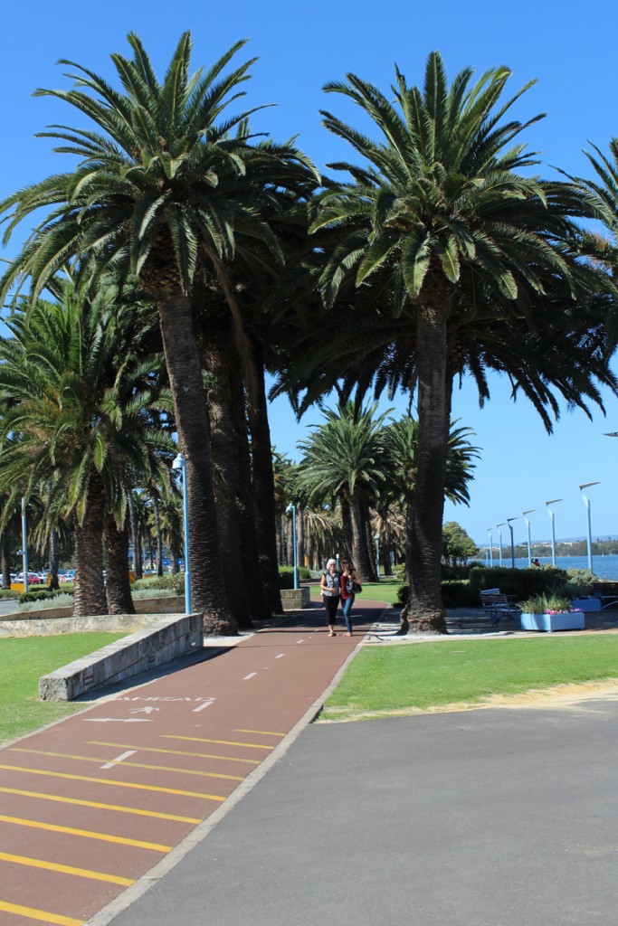 This walkway and park extends for miles along the banks of the Swan River