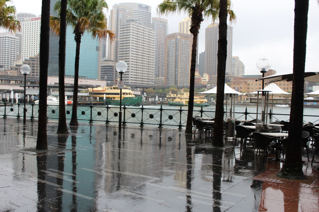 The broad plaza of Circular Quay wet with rain