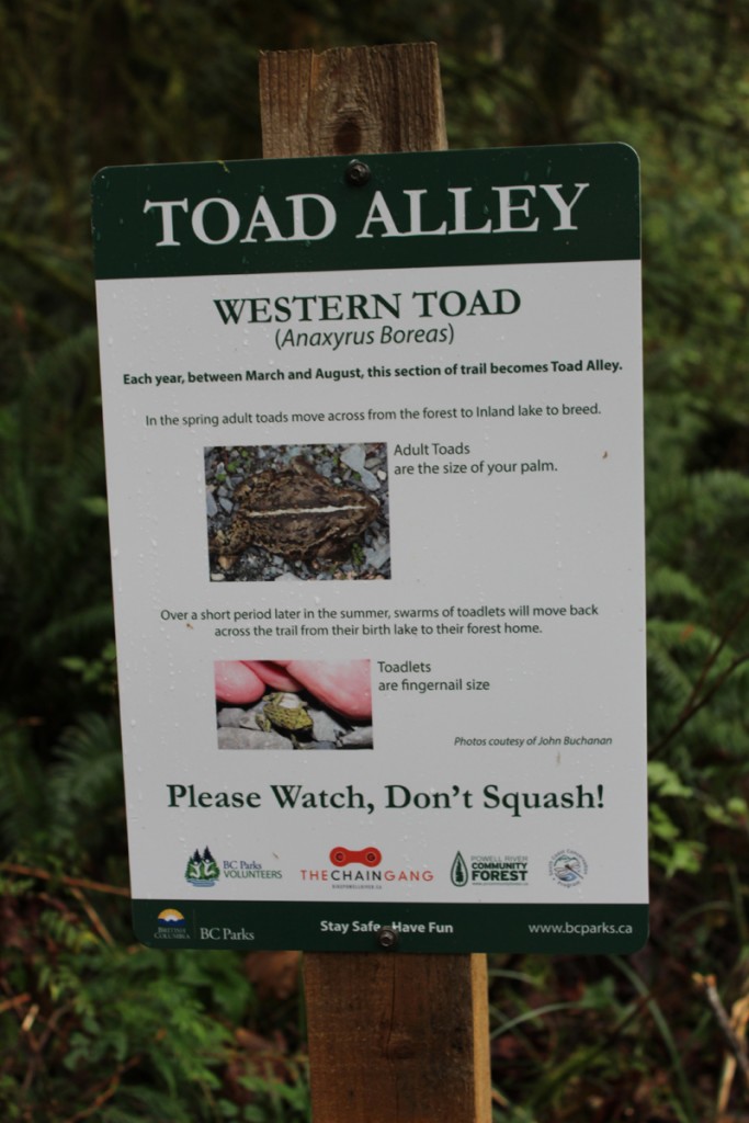 Inland Lake is a western toad habitat.