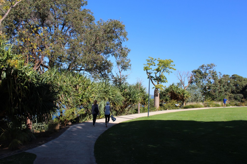 The path leading to the botanic garden.