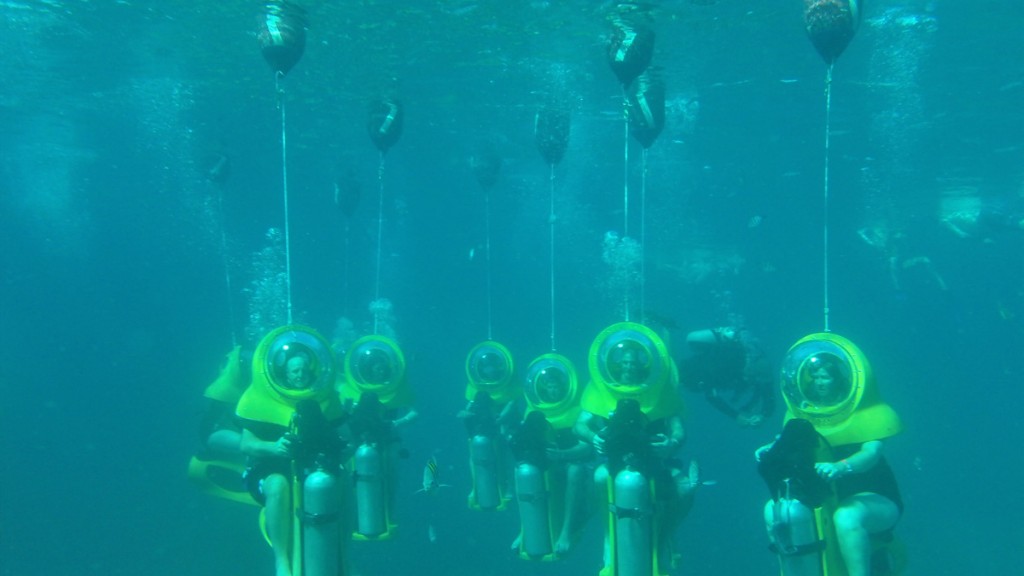 Underwater view of a pod of scooters